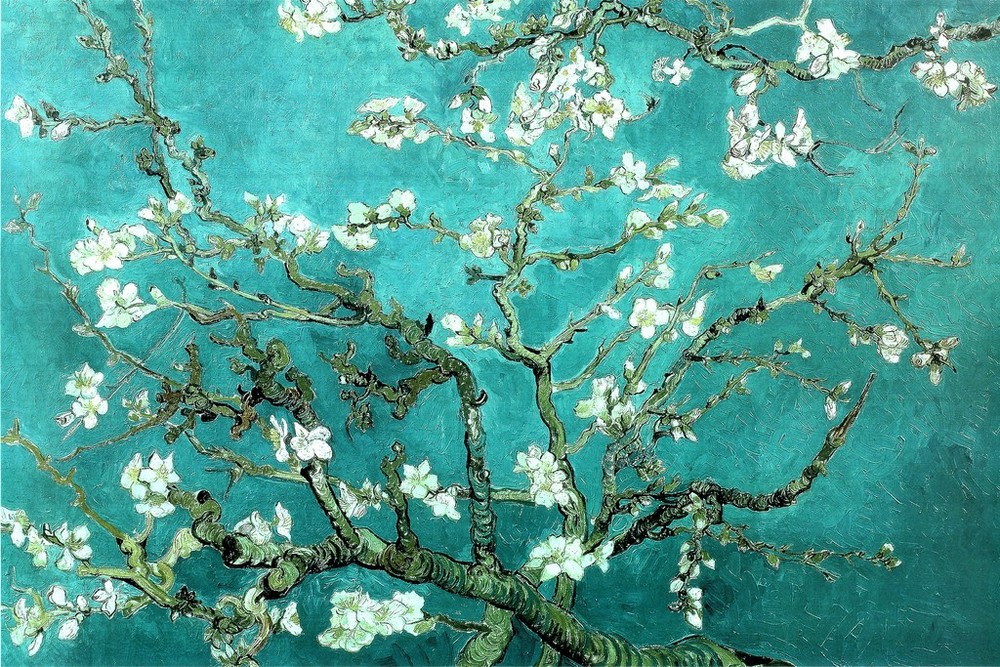 Vincent Van Gogh Almond Blossom Branches Post Impressionist Art Poster 36×24