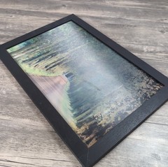 Holographic Season Changes Tree Photo 13×19″ Framed 3D Optical Landscape Image