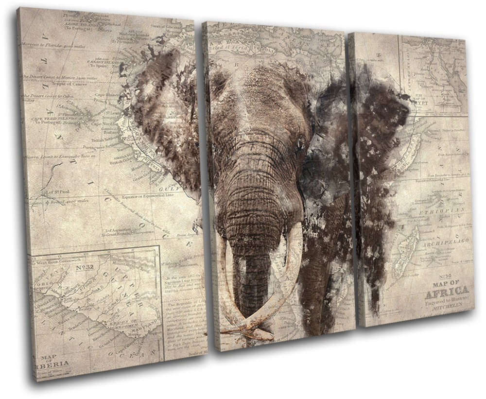 Africa Elephant Map Retro Vintage TREBLE CANVAS WALL ART Picture Print