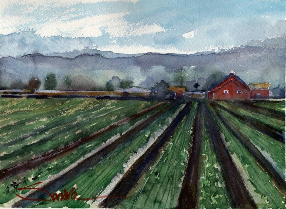 Ventura Farm : Sandra Watercolors™ California : ORIGINAL PAINTING