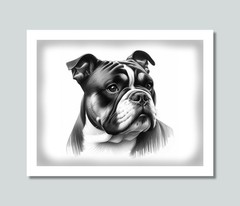 BULLDOG Dog Photo Picture Pet Print in 8×10, 8.5×11 or 11×14 WB2b