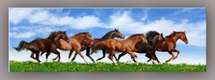 Wild Horses Unusually Canvas Wall Art Print Startonight 15.75 X 47.2 In