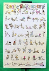 Daily Sexercise noveltie poster 24″ X 36″ NOS (b679)