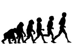 HUMAN EVOLUTION GLOSSY POSTER PICTURE PHOTO cycle education man science 2036