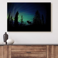 Northern Lights Aurora Borealis Moose Canvas Wall Art Print