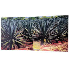 Weone Artwork Agave Plantation Canvas Wall Print 24″x48″ Mezcal Tequila Decor