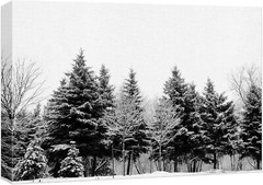 32″x48″ – Canvas Print Wall Art – Winter Snow Covered Forest Art Decor