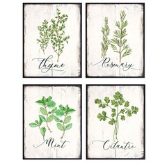 Botanical Herbs and Spices Kitchen Decor – 4 – 8×10 inch prints, Multicolor