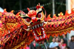 CHINESE NEW YEAR GLOSSY POSTER PICTURE PHOTO dragon china vietnam festival 106