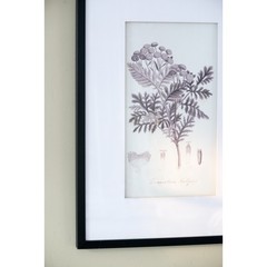 Set of 4 Botanical Wall Art Prints, Home Decor for Living Room, Dining 20″ x 28″