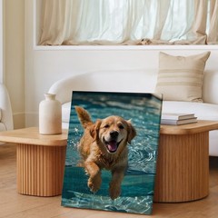 Golden Retriever Swimming In Pool Canvas Wall Art Animal Print Decor 75X80