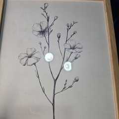 Haus and Hues Grey Floral Wall Art Natural Wood frame botanical prints Set Of 4