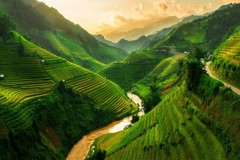 Laminated Terraced Rice Field in Mu Cang Chai Vietnam 18″L x 12″W, Multicolor