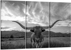 Large Texas Longhorn Canvas Art Set – 3 Piece Wall Decor 16×32 Inch
