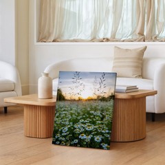 Serene Field Of White Daisies With Vibrant Yellow Centers Stretches Wall Art