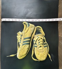 Rare 1977 Graphic Environs 3D Poster Worn Adidas Style Retro Sneakers Series 101