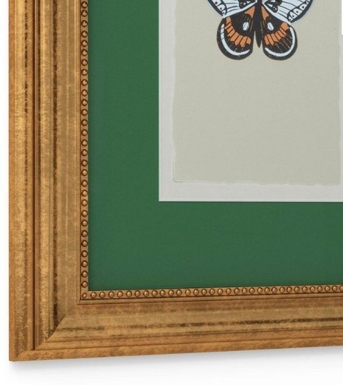 Rifle Paper Co 11″x14″ Gold Foil Insect Poster Framed Wall Art Prints