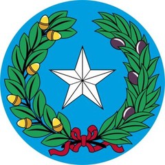 STATE OF TEXAS COAT OF ARMS GLOSSY POSTER PICTURE BANNER PRINT PHOTO TX 7999
