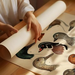 Antique Waterfowl Print Duck Hunting Poster Ornithology Wall Art