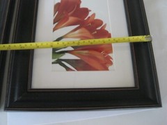 Hobby Lobby Red Flower Prints Framed Black Frame Pair White Mat 11″ x 13″