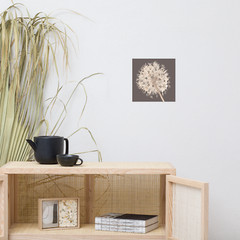 10 x 10 Watercolor Flower Dry Allium Poster Matte Finish Floral Earth Tones