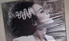 Bride of Frankenstein Stretched Canvas Wrap Print Giclee Vintage 12 X 17.5