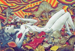 Psychedelic Mushrooms Trippy Shroom Painting Framed Canvas Wall Art Print Hippy