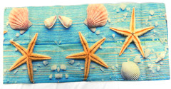 17 in x 72 in Starfish Seashells Wall Art Canvas Fabric Print Banner Decorative