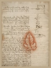 Decor Poster.Home interior design.Room wall print.Da Vinci notebook page.6825