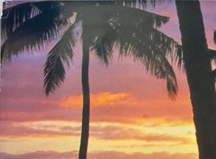 Tropical Sunset Scenic Poster 12 x 36