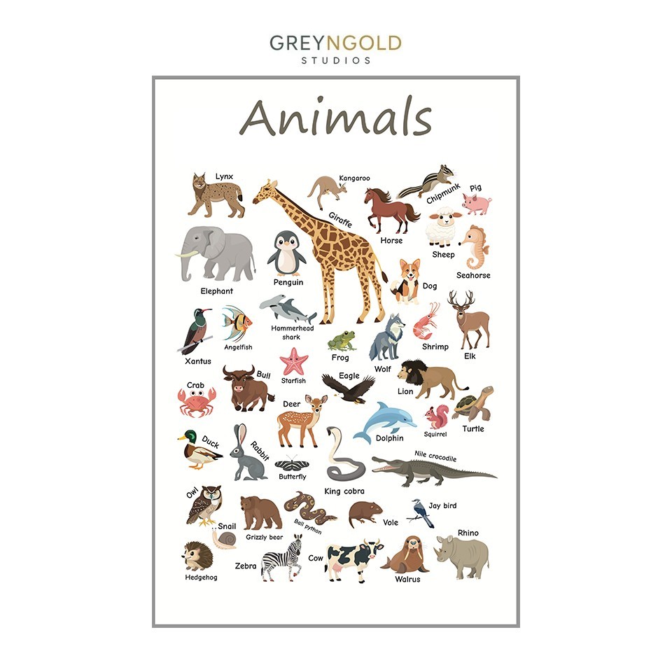 Animals, Colorful Educational Poster Wall Art Print pick size A4/A3/A2/90x60cm
