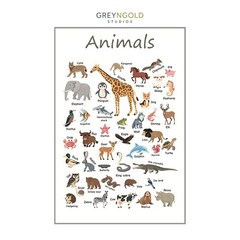 Animals, Colorful Educational Poster Wall Art Print pick size A4/A3/A2/90x60cm