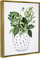 Modern Gold Framed Potted Plant Canvas Art by Karen Smith