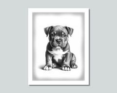 AMERICAN BULLY Puppy Dog Photo Picture Pet Print in 8×10, 8.5×11 or 11×14 WB6b