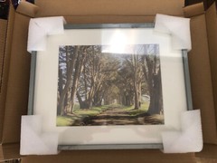 Framed Wall Art 11 x 14 Gunmetal Frame. FREE SHIPPING
