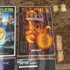 Discraft 12″ X 18″ Disc Golf Poster Collection