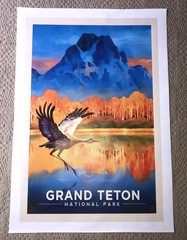 Grand Teton National Park Sand Hill Crane Canvas Poster Large 32.25”x 22.35”