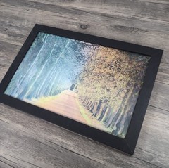 Holographic Season Changes Tree Photo 13×19″ Framed 3D Optical Landscape Image