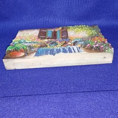 3D Pictures. Set of Two. Resin. 8-3/4″ x 6-3/4″ x 1″ depth. Deck/Patio