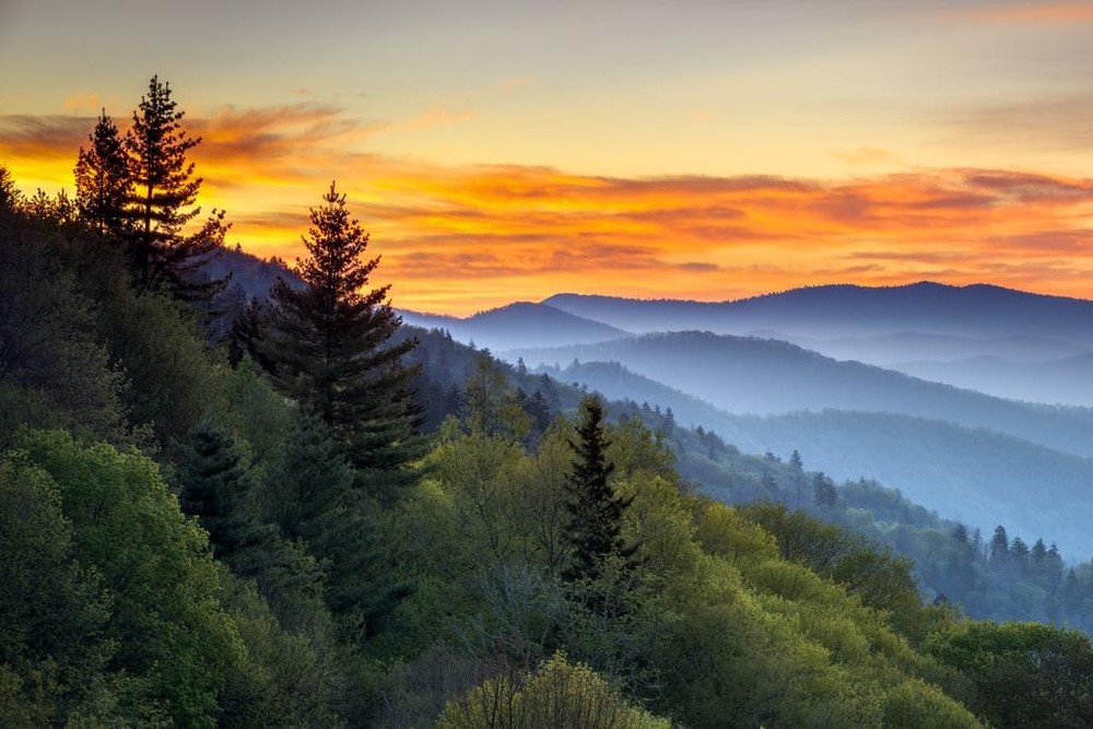 Great Smoky Mountains National Park Sunrise Photo Art Print Poster 24×36 inch