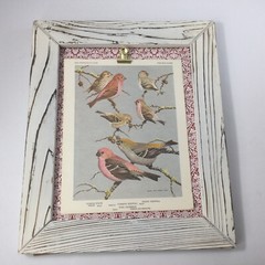 Wall Hanging Picture Print Birds Wooden White Frame