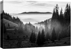 Wall26 Wall Art Canvas Print Misty Pine Forest Photography Art Decor