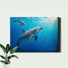 Underwater Dolphin Pair Wall Art Turquoise Ocean Wildlife Scene