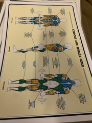 1984 Vintage Bruce Algra Weight Training Fitnus Chart Series Lot Of 12 16×11 In
