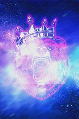 612703 Galaxy Bear Cutout Colorful Background Wall Print Poster