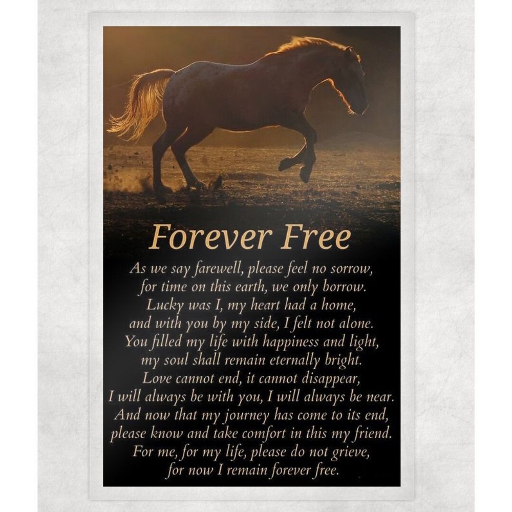 Laminated Poem Print 8.5×11 Unframed Inspirational Wall Art Forever Free Horse