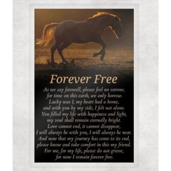 Laminated Poem Print 8.5×11 Unframed Inspirational Wall Art Forever Free Horse