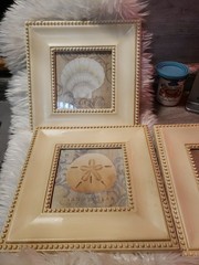Nautical Beach Framed Prints (3) Starfish, Shell And Sand Dollar 11×11.