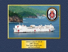 USS AMERICA CVA-CV66 8.5 X 11 Custom Personalized Print of US Navy Ships Gift