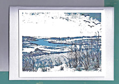 Nantucket Fine Art Print 8×10″ and Notecard 5×7″, Shoreline, Original Art Seller